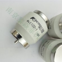多型號(hào) FUJI富士保險(xiǎn)絲熔斷器 斷路器FNH-2-250
