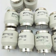 FUJI富士電機(jī) 電流控制器 熔斷器 FNH-2-250