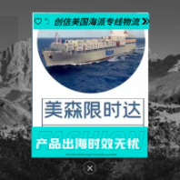 電源保護(hù)器 插座 保護(hù)器 發(fā)美國海運(yùn) 航空運(yùn)輸 雙清包稅門到門