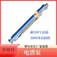 地?zé)峋x心式油泵 小直徑 保護(hù)器 分離器 變頻 高壓 高揚(yáng)程