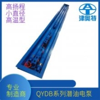 石油潛油電泵 小直徑 大流量 地?zé)嵘罹?保護(hù)器 充油式電機(jī) 高壓