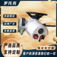 羅托克 GEK10 GEK12 GEK18 水處理用 組成執(zhí)行單元