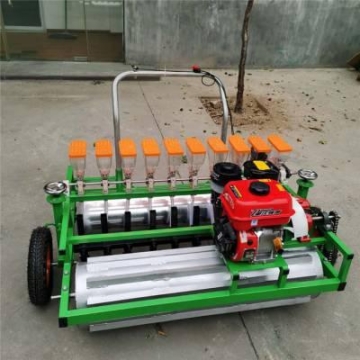 白菜種植機(jī)械 胡蘿卜起壟播種機(jī) 蘿卜播種機(jī)廠家