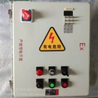 鋁合金外殼防爆變頻調(diào)速儀表控制箱BDM(X)可定制