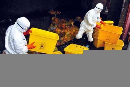 上海寶山廢油漆桶處理公司,固廢處理公司,固廢處置價格