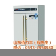 餐具保潔柜_山東佰力豐_銅陵餐具保潔柜