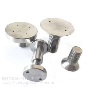 耀榮 數(shù)控加工不銹鋼圓柱頭廣告釘 車床定制玻璃裝飾釘