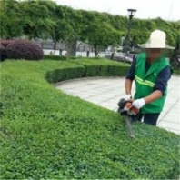 梔子花灌木平面割灌機(jī) 快速剪枝高效率綠籬機(jī) 華圣