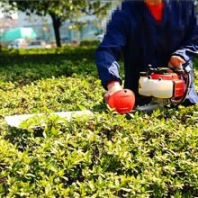 園林灌木修剪機(jī) 輕型修復(fù)造型綠籬剪 華圣機(jī)械
