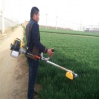 大棚花園除草割草機(jī) 潤眾 小型灌木割草機(jī)
