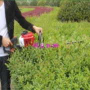 多功能割草綠籬修剪機型號規(guī)格 汽油茶球修剪綠籬機