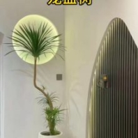 盆景租賃盆景租擺家庭花卉養(yǎng)護
