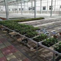 航迪盆景植物種植床手搖式移動苗床可定制為固定苗床