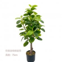 仿真金錢榕盆景仿真立體單支葉熱帶植物綠葉盆栽平面金錢支假植物
