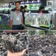 水族造景酸洗青龍石、盆景假山青龍石