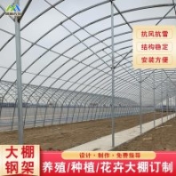 全南縣紫薇淡藍色大棚骨架室內(nèi)溫度可調(diào)整