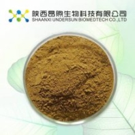 刺果仙人掌粉 新資源食品原料刺果仙人掌提取物 陜西昂煦生產(chǎn)廠家刺果仙人掌原粉