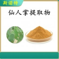 仙人掌提取物 10:1 規(guī)格可定制