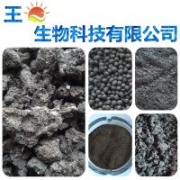 直銷北京雞糞有機(jī)肥料 天然曬干鳥糞塊 鳥糞 仙人掌與多漿植物專用