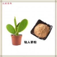 仙人掌提取物 20:1 黃酮 速溶粉 濃縮粉 1kg起訂 包郵