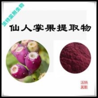 仙人掌果提取物 濃縮粉 提取液 浸膏 食品級原料 多種規(guī)格 1kg起訂 包郵