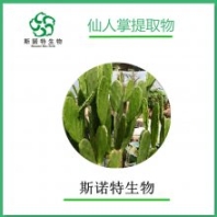 仙人掌提取物 黃酮 棕黃色粉末 水溶性 斯諾特生物 包郵