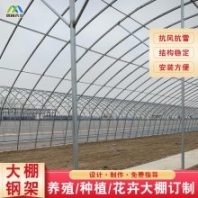 宣化縣仙人掌塑鋼溫室鋼結(jié)構(gòu)尺寸對照