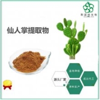 仙人掌提取物 斯諾特直郵 棕色粉末 全水溶 可發(fā)樣品