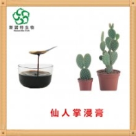 仙人掌提取液 仙人掌浸膏 優(yōu)質(zhì)原料 資質(zhì)齊全
