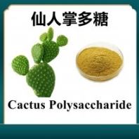 仙人掌多糖50% 斯諾特生物 全國(guó)包郵