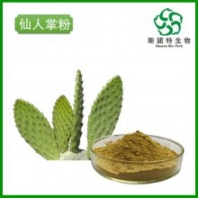 梨果仙人掌粉 廠家銷售 噴霧干燥仙人掌速溶粉