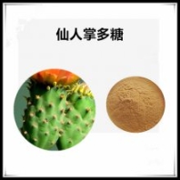 沃特萊斯生物 仙人掌多糖50% 黃酮 多規(guī)格可定制 棕黃色粉末