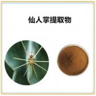 仙人掌提取物10:1 速溶粉 棕黃色粉末 噴霧干燥 沃特萊斯生物