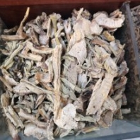 仙巴掌批發(fā) 野生火掌價(jià)格