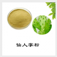 仙人掌粉 仙人掌提取物 源頭廠家 現(xiàn)貨供應(yīng) 扶風(fēng)斯諾特