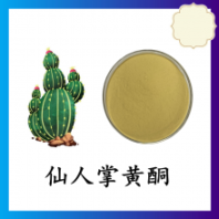 仙人掌黃酮 水溶 植提廠家 斯諾特 可定制