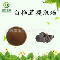 白樺茸提取物 白樺茸粉 樺褐孔菌提取物 水溶 噴霧干燥 現(xiàn)貨 可發(fā)樣