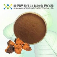 白樺茸多糖 昂煦定制白樺茸提取物 水溶性白樺茸粉