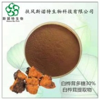 白樺茸提取物10:1濃縮 斯諾特品牌 功能性原料 可做固體飲料