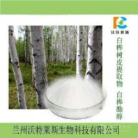 白樺樹皮提取物 白樺脂醇98% 白樺樹皮多肽 蘭州沃特萊斯