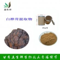 白樺茸提取物 10：120：1高比例萃取粉末 含多糖 濃縮干燥