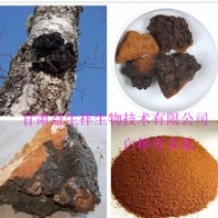 白樺脂醇 98%白樺皮提取物 規(guī)格可定制 現(xiàn)貨包郵