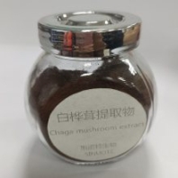 樺褐孔菌粉 水溶噴霧干燥供應(yīng) 一公斤起訂 斯諾特白樺茸粉
