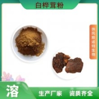 白樺茸粉 生產(chǎn)廠家 斯諾特生物 可定制