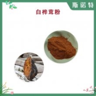 白樺茸粉 資質(zhì)齊全 可定制 斯諾特