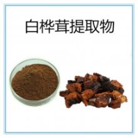 白樺茸提取物 白樺茸多糖 水溶白樺茸粉