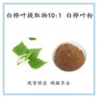白樺葉提取物10:1 白樺葉濃縮粉 原料提取 食品級(jí) 量大從優(yōu) 噴霧干燥 固體飲料