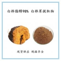 白樺脂醇98% 白樺茸提取物 標(biāo)準(zhǔn)比例提取 原料提取 食品級(jí) 量大從優(yōu) 噴霧干燥 固體飲料