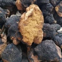 白樺茸怎么吃效果好