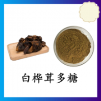 白樺茸多糖 斯諾特 全國包郵 可定制 水溶